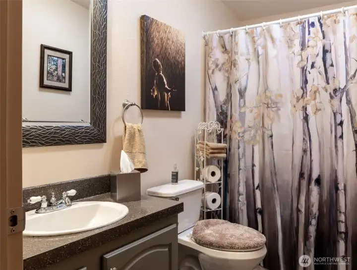 The guest bathroom has a tub/shower combination.