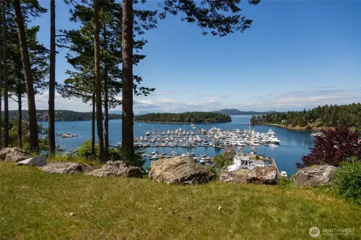 View from the Lot