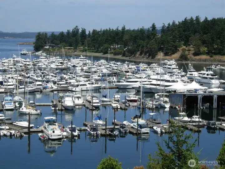 Marina