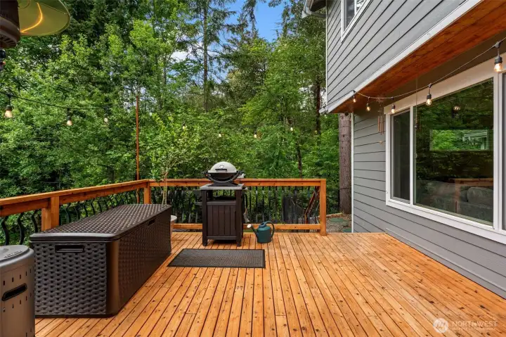 Space for BBQ and enclosed dog-run off side