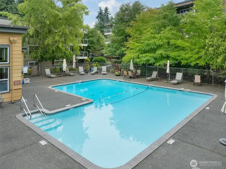 Relax by the pool Relax by the pool