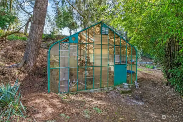 Greenhouse for all of your gardening needs