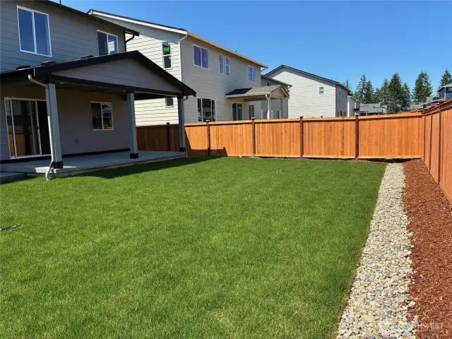 Backyard