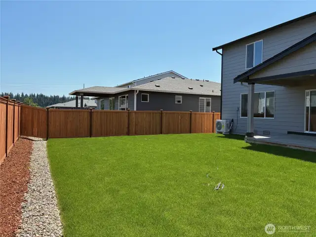 Back yard - South