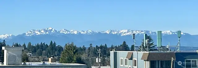 Olympic Mountain views from Primary Bedroom