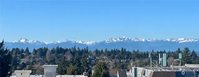 Olympic Mountain views from rooftop deck