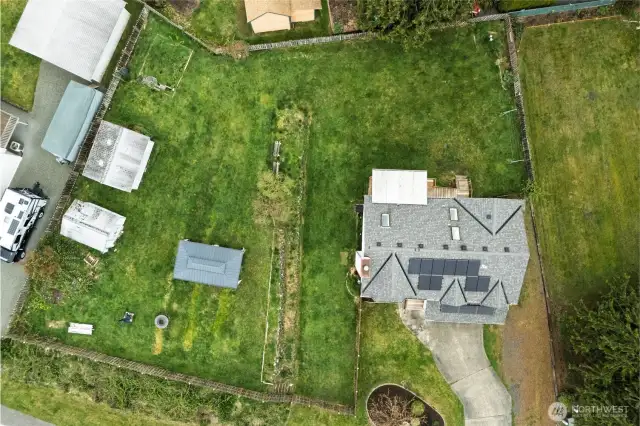aerial