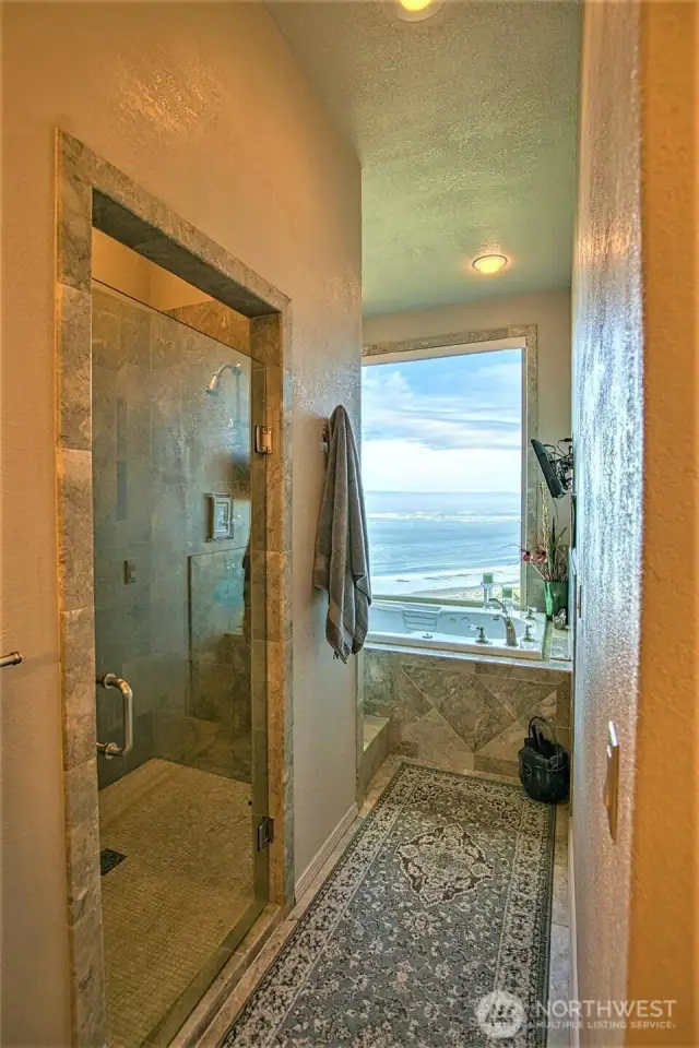 A walk in shower and jetted tub with an panoramic ocean view.