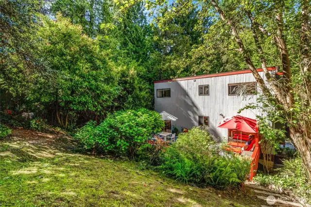 Backyard with much more room than shown