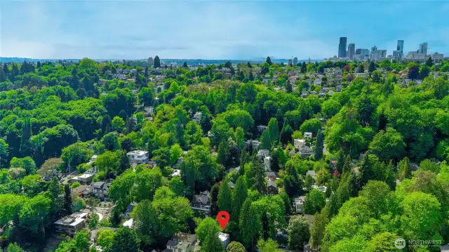 Close to Due South Seattle backdrop