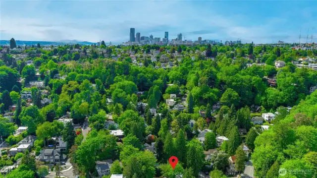 South by Southwest Seattle backdrop