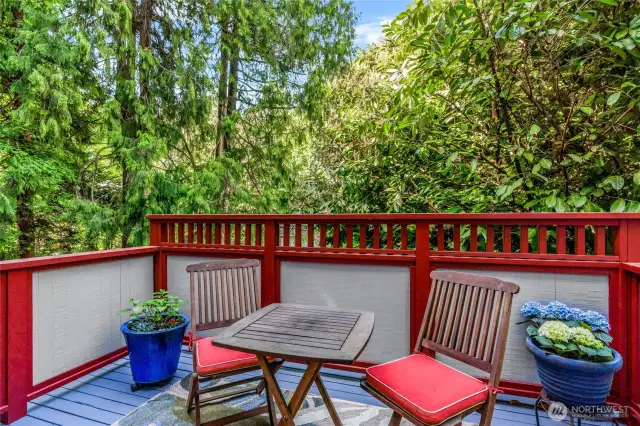 Main Floor Front Deck