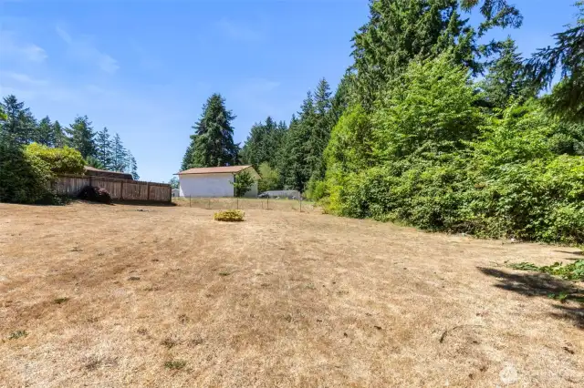 Large sunny backyard to enjoy.