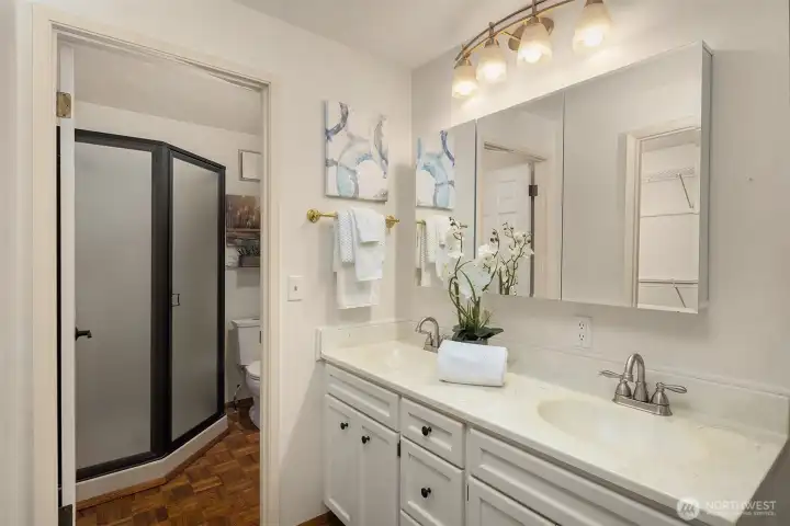 The primary suite includes an attached three-quarter bath with dual sinks, mirrored medicine cabinet storage, and a glimpse of the walk-in closet reflected in the mirror.