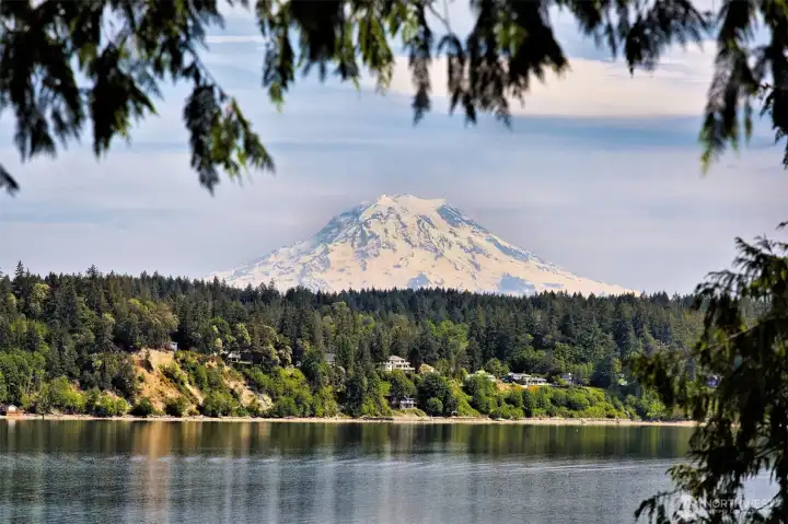 Spectacular east facing view of Case Inlet and Mt Rainier!