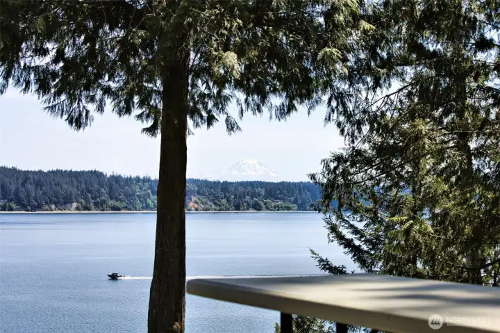 From the patio, The Mountain and Case Inlet. The area is perfect for boating and watersports. Nearby boat launch at Port of Grapeview & Fair Harbor Marina.