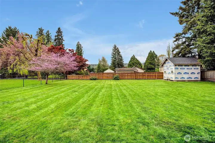 Big fenced backyard