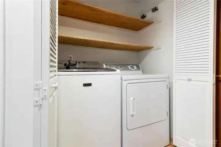 Laundry in closet with storage.