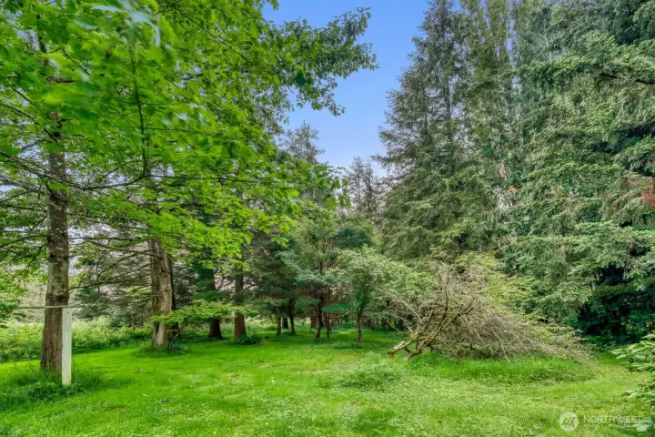 View from house to back of property.