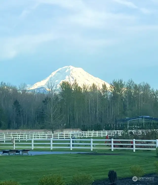 Mt. Rainer Views from Back Yard