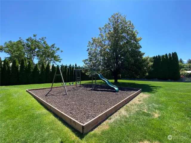 Play Area, Like a Park in your Back Yard!