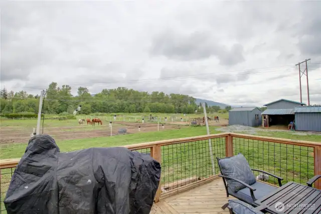 Deck w/view
