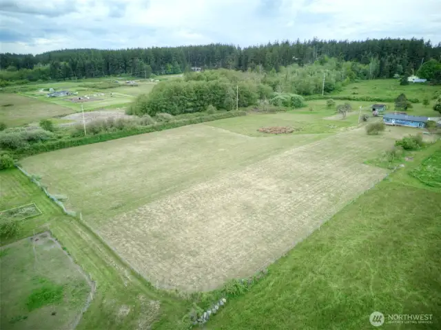 Back pasture area