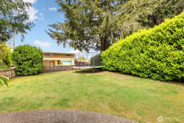 Front fenced yard