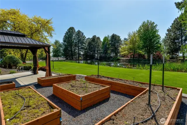 ADU raised gardens and gazebo looking W toward private pond