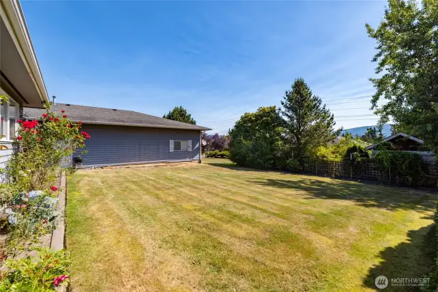 Large shared back yard