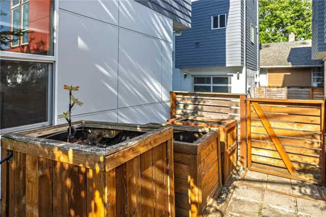 Create your own urban garden