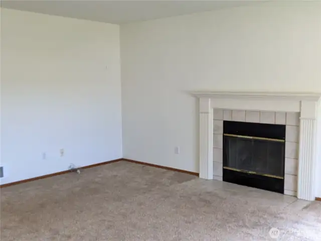 Family Room Fireplace