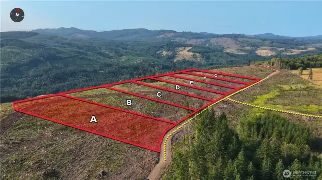 Overhead view with approximate boundaries in red and with subject property highlighted.