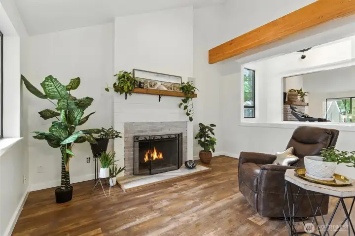 Wood burning fireplace #2