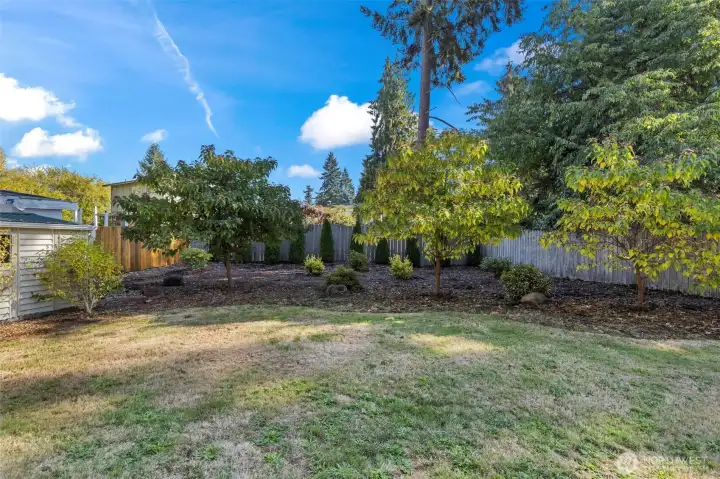 You don't see many homes with this size yard any more! Lots of space between the trees and rear fence for a garden, playset, or Cornhole!
