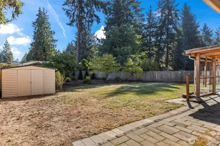 Fully fenced back yard extends beyond the line of fruit trees to the arbor vitae along the rear fenceline!