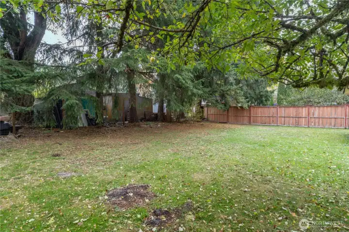Another view of the back yard.