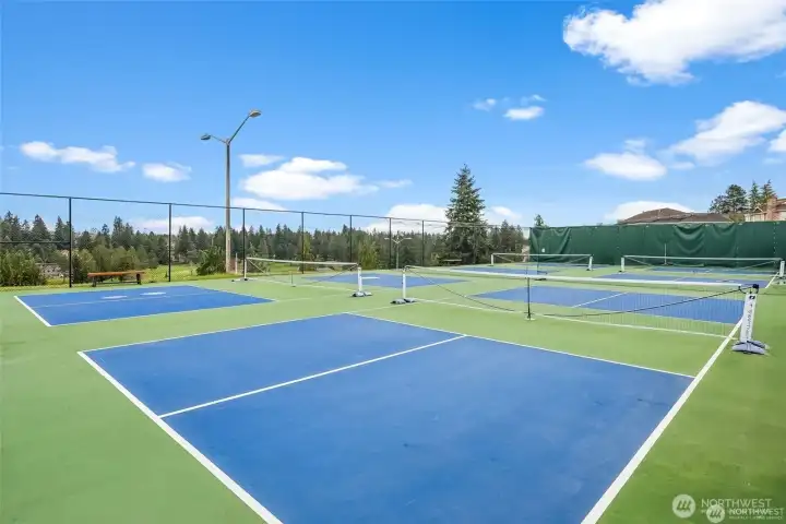Community pickleball courts is another offering if you're a member!