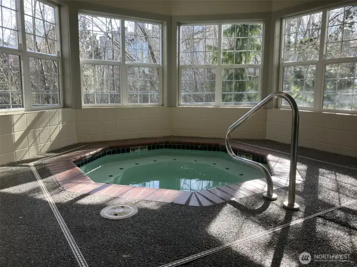 Large hot tub bathed by plenty of light through the many windows.