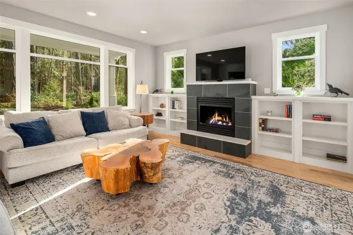 Large windows facing towards evergreens trees and shrubs.