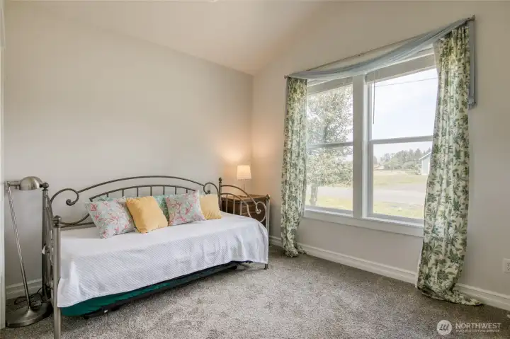 Large front bedroom is filled with natural light from large windows.