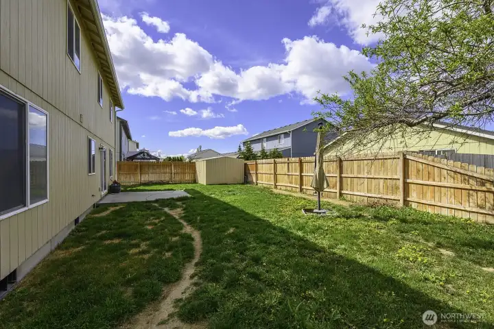 Backyard