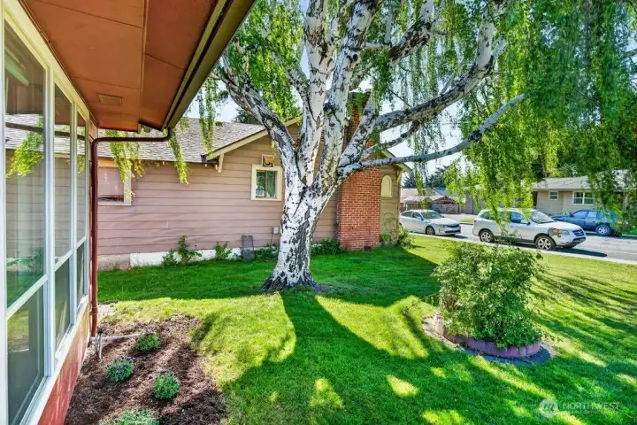 Irrigated landscaping and yard