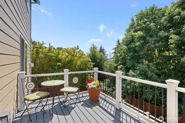 Beautiful deck w/custom railings and low maintenance trex deck.