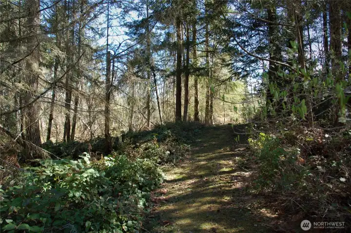 trail entrance