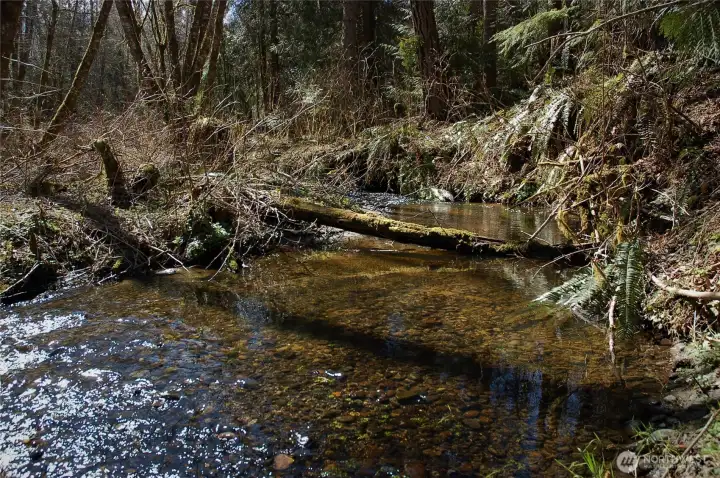 Bagley Creek