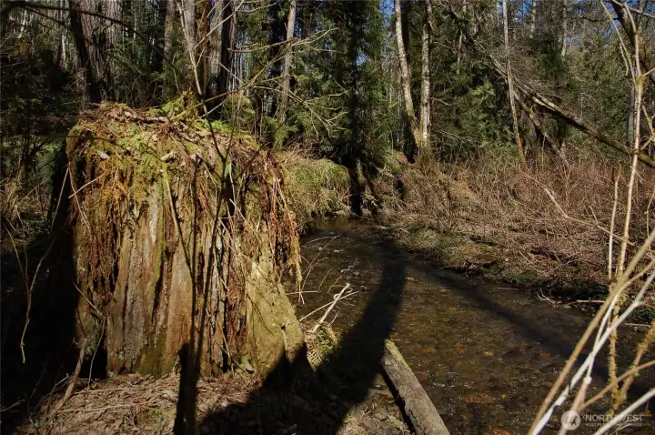 Bagley Creek