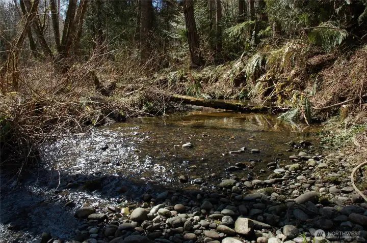 Bagley Creek