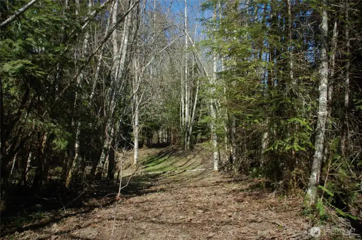 entrance