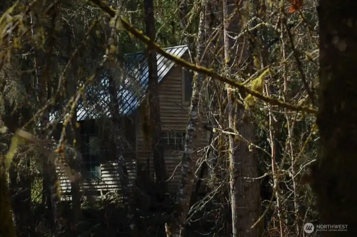 cabin in the woods